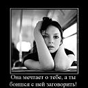 ���� ���������, ������, 36 ��� - ��������� 22 ������� 2009 � ������ �������