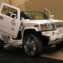 ���� ������, ��������������, 49 ��� - ��������� 20 ����� 2011 � ������ �����,����