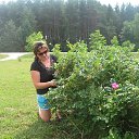 ���� ������, ������, 50 ��� - ��������� 6 ���� 2012 � ������ ���� ����������