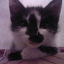   ,  -  26  2013        =)