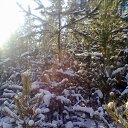 ���� ����������, �����-���������, 45 ��� - ��������� 17 ������ 2013 � ������ ���� ����������