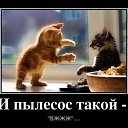 ���� ������, �����, 38 ��� - ��������� 5 ���� 2013 � ������ ������ ��������