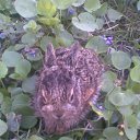 ���� ���������, ��������, 53 ���� - ��������� 1 ��� 2013 � ������ �������