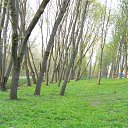  ••,  -  1  2013   RoadKing