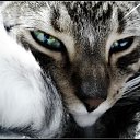 ���� ������, �������, 53 ���� - ��������� 2 �������� 2011