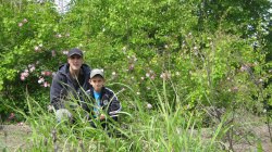 ���� ˸��, �����, 43 ���� - ��������� 3 ���� 2013