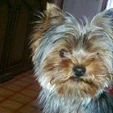 ���� Viktor, ������, 59 ��� - ��������� 24 ����� 2013 � ������ ���� ����������