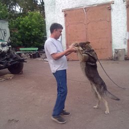 ���� ����������, �������, 60 ��� - ��������� 13 ������� 2013