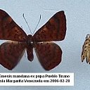 ���� ����. ��������� �� ��!, ������, 72 ���� - ��������� 7 ��� 2011 � ������ ��������