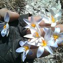 ���� �����, ���������, 45 ��� - ��������� 19 ������ 2013