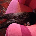 ���� �������, �����-���������, 61 ��� - ��������� 12 ������ 2011 � ������ ���� �����