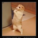 ���� Katoteshi, �������, 45 ��� - ��������� 11 ������� 2011 � ������ ������