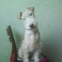 ���� ������, ������ - ��������� 4 ���� 2013 � ������ ����� ��� ������������