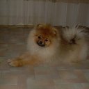 ���� �����, ����, 59 ��� - ��������� 10 ����� 2012 � ������ ���� ��������