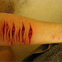 ���� ����, �����������, 38 ��� - ��������� 6 ���� 2010