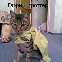 ���� ����, ���, 31 ��� - ��������� 21 ��� 2011 � ������ �������