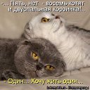 ���� ����, �����-��������� - ��������� 15 ������� 2012 � ������ ���� ����������