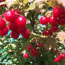  ,  -  22  2012   * ..*