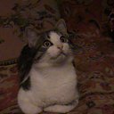 ���� ������, ������� - ��������� 23 ��� 2010 � ������ ����