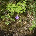 ���� �������, ������, 55 ��� - ��������� 15 ������ 2012 � ������ ���� ����������