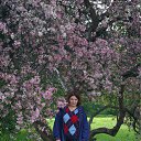 ���� E-len@, ������, 61 ��� - ��������� 4 ����� 2010