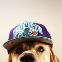 ���� Alexey, ������, 36 ��� - ��������� 11 ������ 2013