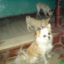 ���� ������, �����������, 36 ��� - ��������� 4 ������ 2010 � ������ ��������� ��� � ���� ������