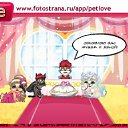  ......., , 34  -  12  2010   PetLove