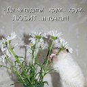 ���� ��������, �������� - ��������� 20 ����� 2012 � ������ �������� ��������