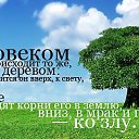 ���� �����4��, ��������, 37 ��� - ��������� 29 ����� 2010 � ������ ���������� ���������