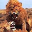 ���� �������, �������������� - ��������� 7 ������� 2012 � ������ ���� ����������