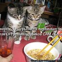 ���� Ivan, ������ - ��������� 24 ������ 2011 � ������ �������