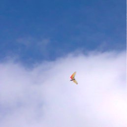 ���� ���������, ������-������, 36 ��� - ��������� 2 ��� 2011