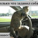 ���� ���������, �������, 44 ���� - ��������� 4 ��� 2011 � ������ ����