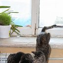 ������� �� �����. ��� ������. �� ������� �����������ۻ