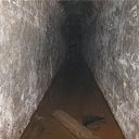 ���� �����, ����, 52 ���� - ��������� 26 ������� 2011 � ������ ����� ���������