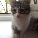 ���� Ferro, ��� - ��������� 4 ��� 2011 � ������ ���������