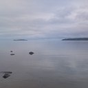 ���� ������, �����-��������� - ��������� 15 ���� 2013 � ������ ���� ����������