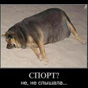 ���� ������ �������, ���������� �����, 30 ��� - ��������� 29 �������� 2012 � ������ �������