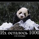  4,  -  20  2011   [])))))