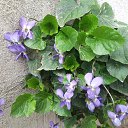  ,  -  31  2013    ))))))))))