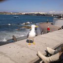 ���� �������, �����������, 54 ���� - ��������� 29 ��� 2012