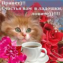 ���� �����, ��������, 67 ��� - ��������� 7 ������� 2013 � ������ ���� ����������