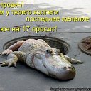 ���� ������, �����-���������, 71 ��� - ��������� 22 ������� 2012 � ������ �������