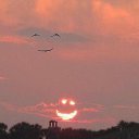 ���� ������, �������, 54 ���� - ��������� 28 ���� 2013 � ������ ���� ����������