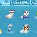  -   , , 84  -  31  2010    ѻ