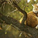 ���� ����� - ���������� ��������!!!, �����������, 56 ��� - ��������� 14 ������� 2009 � ������ ���������� �������Ż