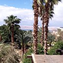 � ������ ����� ������� ����