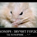 ���� �����k� ������, ����������, 49 ��� - ��������� 25 ������ 2011 � ������ �Demativators�