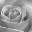 ���� �����, ������ ��������, 47 ��� - ��������� 26 ��� 2012 � ������ �������